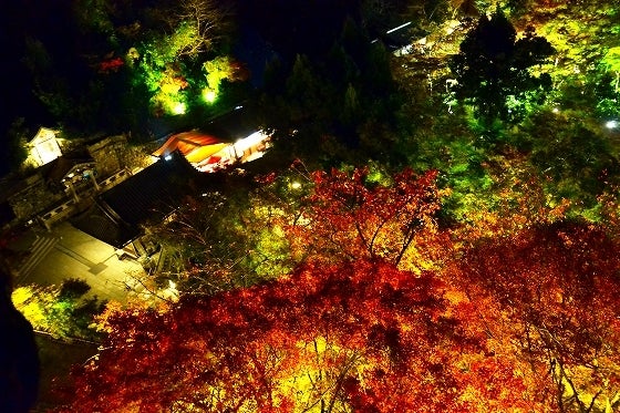 鉄　は　熱　い　う　ち　に　打　て　　　　(*ﾟ∀ﾟ)=3ﾑｯﾊｰ