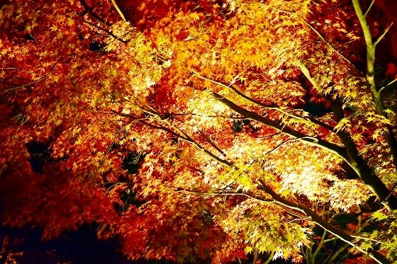 鉄　は　熱　い　う　ち　に　打　て　　　　(*ﾟ∀ﾟ)=3ﾑｯﾊｰ