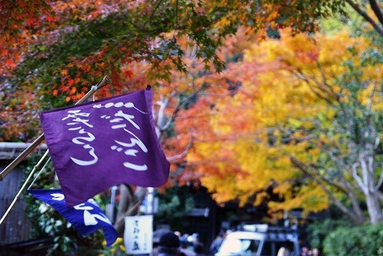 鉄 は 熱 い う ち に 打 て (*゚∀゚)=3ムッハー