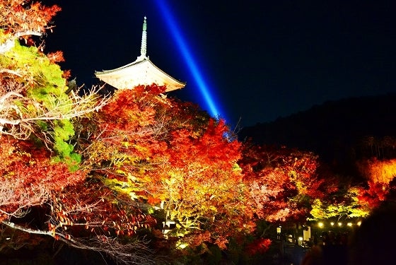 鉄　は　熱　い　う　ち　に　打　て　　　　(*ﾟ∀ﾟ)=3ﾑｯﾊｰ