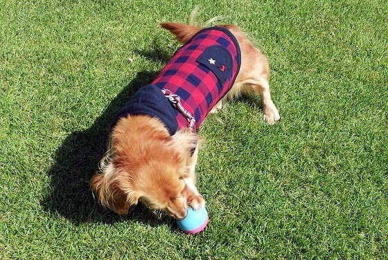 鉄　は　熱　い　う　ち　に　打　て　　　　(*ﾟ∀ﾟ)=3ﾑｯﾊｰ