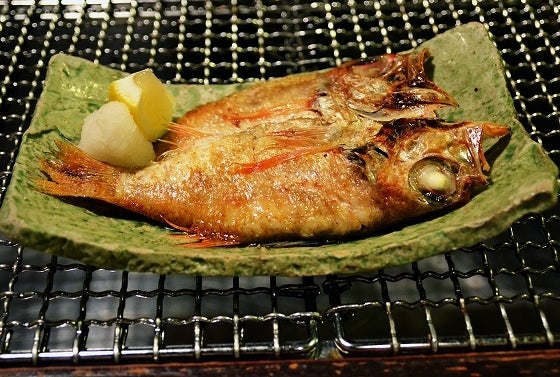 鉄　は　熱　い　う　ち　に　打　て　　　　(*ﾟ∀ﾟ)=3ﾑｯﾊｰ