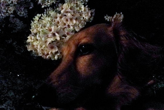 鉄　は　熱　い　う　ち　に　打　て　　　　(*ﾟ∀ﾟ)=3ﾑｯﾊｰ