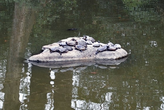 鉄　は　熱　い　う　ち　に　打　て　　　　(*ﾟ∀ﾟ)=3ﾑｯﾊｰ