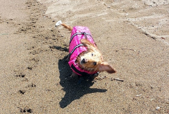 鉄　は　熱　い　う　ち　に　打　て　　　　(*ﾟ∀ﾟ)=3ﾑｯﾊｰ