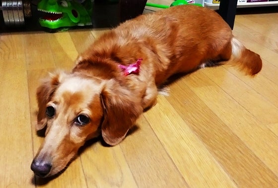 鉄　は　熱　い　う　ち　に　打　て　　　　(*ﾟ∀ﾟ)=3ﾑｯﾊｰ