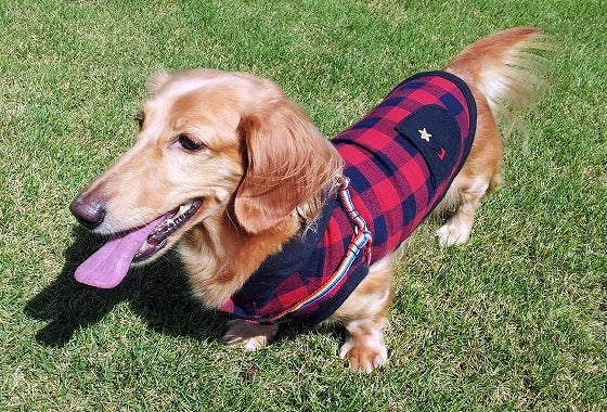 鉄　は　熱　い　う　ち　に　打　て　　　　(*ﾟ∀ﾟ)=3ﾑｯﾊｰ