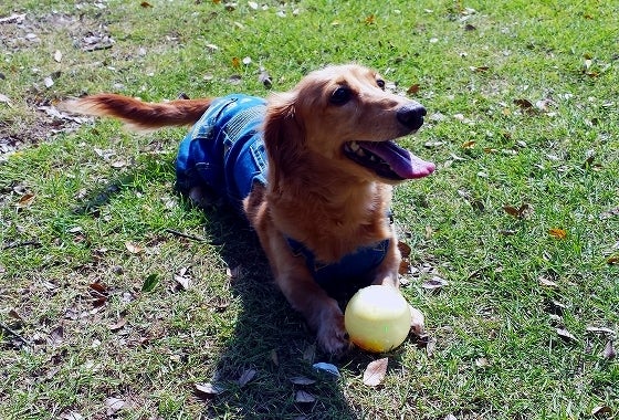 鉄　は　熱　い　う　ち　に　打　て　　　　(*ﾟ∀ﾟ)=3ﾑｯﾊｰ