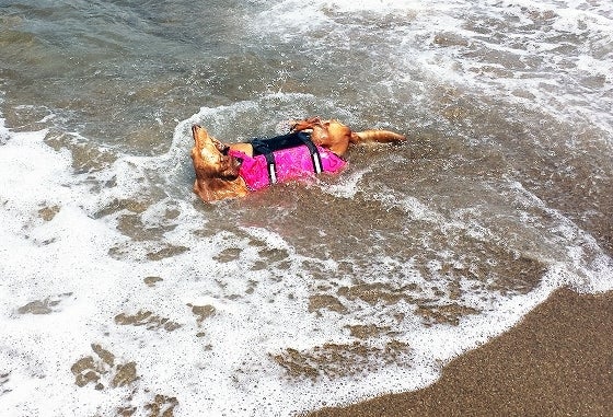 鉄　は　熱　い　う　ち　に　打　て　　　　(*ﾟ∀ﾟ)=3ﾑｯﾊｰ