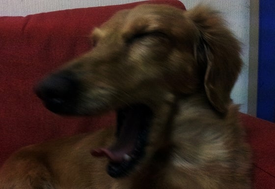 鉄　は　熱　い　う　ち　に　打　て　　　　(*ﾟ∀ﾟ)=3ﾑｯﾊｰ