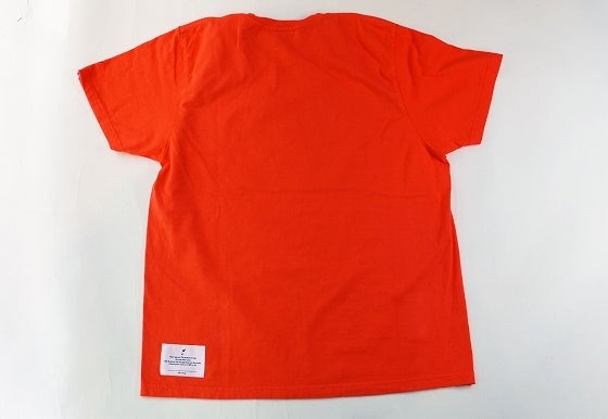 鉄　は　熱　い　う　ち　に　打　て　　　　(*ﾟ∀ﾟ)=3ﾑｯﾊｰ