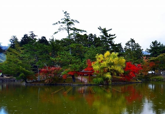 鉄　は　熱　い　う　ち　に　打　て　　　　(*ﾟ∀ﾟ)=3ﾑｯﾊｰ