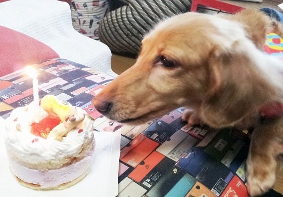 鉄　は　熱　い　う　ち　に　打　て　　　　(*ﾟ∀ﾟ)=3ﾑｯﾊｰ