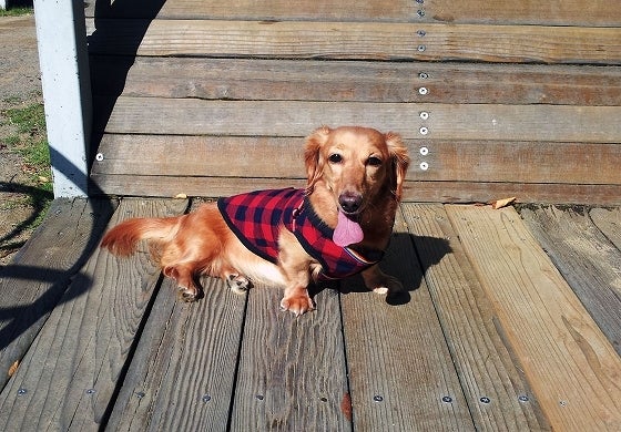 鉄　は　熱　い　う　ち　に　打　て　　　　(*ﾟ∀ﾟ)=3ﾑｯﾊｰ