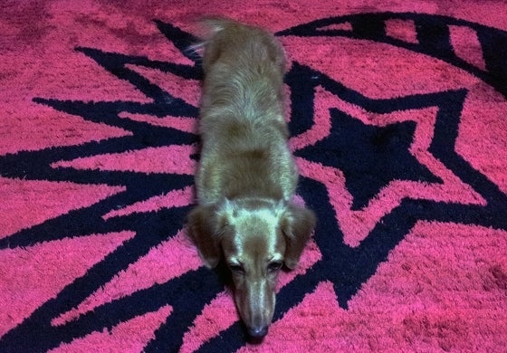 鉄　は　熱　い　う　ち　に　打　て　　　　(*ﾟ∀ﾟ)=3ﾑｯﾊｰ