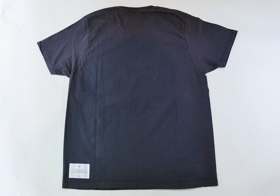 鉄　は　熱　い　う　ち　に　打　て　　　　(*ﾟ∀ﾟ)=3ﾑｯﾊｰ