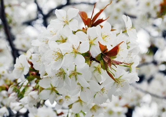 鉄　は　熱　い　う　ち　に　打　て　　　　(*ﾟ∀ﾟ)=3ﾑｯﾊｰ