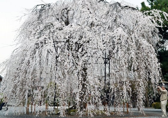 鉄　は　熱　い　う　ち　に　打　て　　　　(*ﾟ∀ﾟ)=3ﾑｯﾊｰ