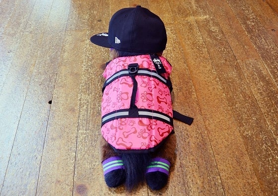 鉄　は　熱　い　う　ち　に　打　て　　　　(*ﾟ∀ﾟ)=3ﾑｯﾊｰ