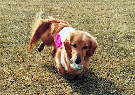 鉄　は　熱　い　う　ち　に　打　て　　　　(*ﾟ∀ﾟ)=3ﾑｯﾊｰ