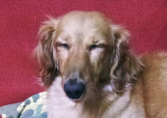 鉄　は　熱　い　う　ち　に　打　て　　　　(*ﾟ∀ﾟ)=3ﾑｯﾊｰ