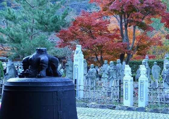 鉄 は 熱 い う ち に 打 て (*゚∀゚)=3ムッハー