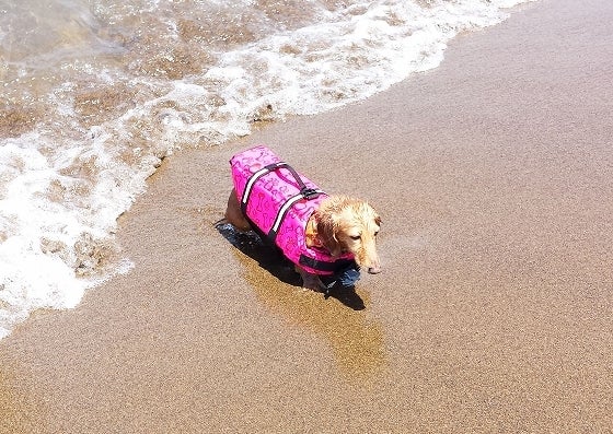 鉄　は　熱　い　う　ち　に　打　て　　　　(*ﾟ∀ﾟ)=3ﾑｯﾊｰ