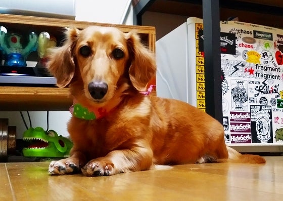 鉄　は　熱　い　う　ち　に　打　て　　　　(*ﾟ∀ﾟ)=3ﾑｯﾊｰ