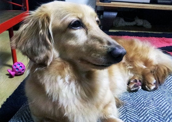 鉄　は　熱　い　う　ち　に　打　て　　　　(*ﾟ∀ﾟ)=3ﾑｯﾊｰ