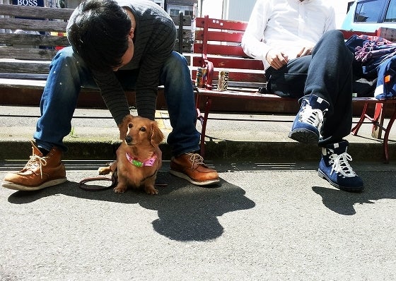 鉄　は　熱　い　う　ち　に　打　て　　　　(*ﾟ∀ﾟ)=3ﾑｯﾊｰ