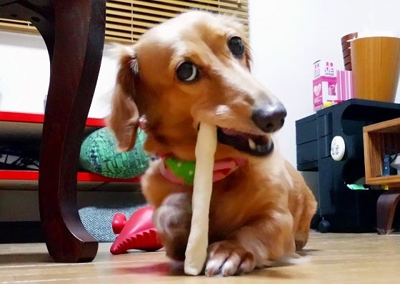 鉄　は　熱　い　う　ち　に　打　て　　　　(*ﾟ∀ﾟ)=3ﾑｯﾊｰ