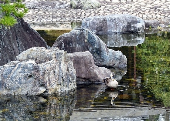 鉄　は　熱　い　う　ち　に　打　て　　　　(*ﾟ∀ﾟ)=3ﾑｯﾊｰ