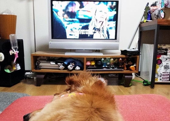 鉄　は　熱　い　う　ち　に　打　て　　　　(*ﾟ∀ﾟ)=3ﾑｯﾊｰ