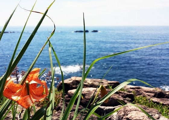 鉄　は　熱　い　う　ち　に　打　て　　　　(*ﾟ∀ﾟ)=3ﾑｯﾊｰ