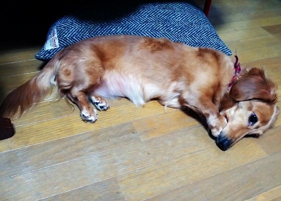 鉄　は　熱　い　う　ち　に　打　て　　　　(*ﾟ∀ﾟ)=3ﾑｯﾊｰ