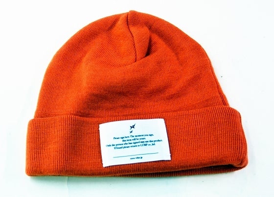 鉄 は 熱 い う ち に 打 て (*゚∀゚)=3ムッハー