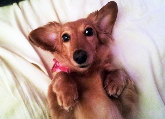 鉄　は　熱　い　う　ち　に　打　て　　　　(*ﾟ∀ﾟ)=3ﾑｯﾊｰ