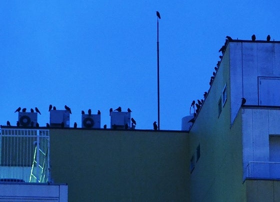 鉄 は 熱 い う ち に 打 て (*゚∀゚)=3ムッハー