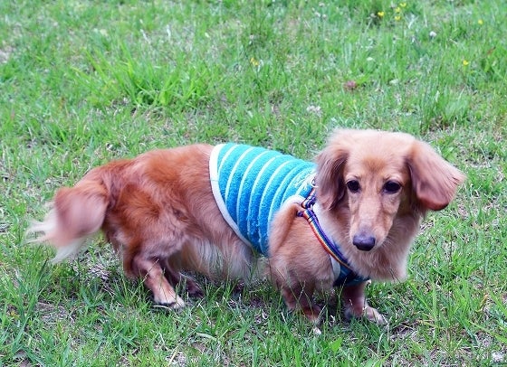 鉄　は　熱　い　う　ち　に　打　て　　　　(*ﾟ∀ﾟ)=3ﾑｯﾊｰ