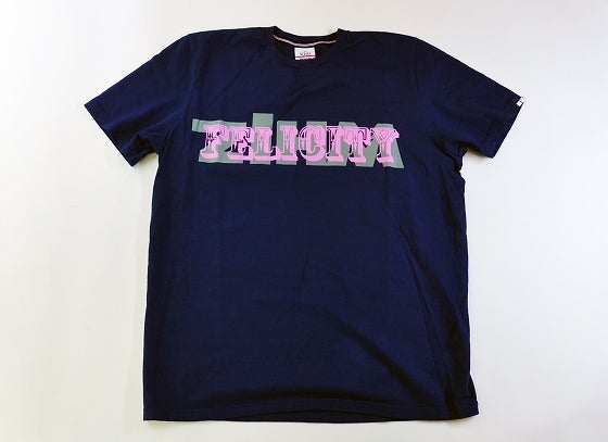 鉄　は　熱　い　う　ち　に　打　て　　　　(*ﾟ∀ﾟ)=3ﾑｯﾊｰ