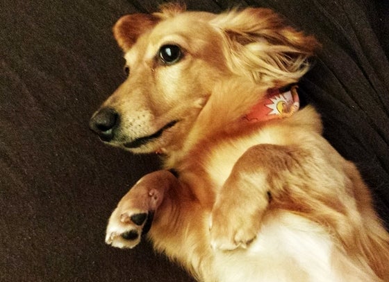 鉄 は 熱 い う ち に 打 て (*゚∀゚)=3ムッハー