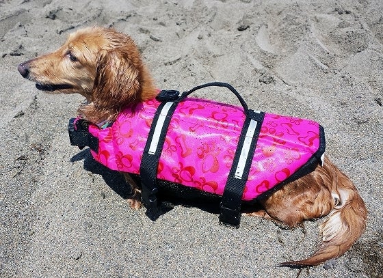 鉄　は　熱　い　う　ち　に　打　て　　　　(*ﾟ∀ﾟ)=3ﾑｯﾊｰ