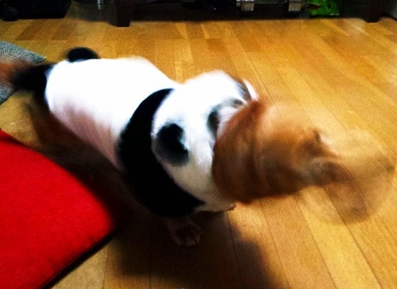 鉄　は　熱　い　う　ち　に　打　て　　　　(*ﾟ∀ﾟ)=3ﾑｯﾊｰ