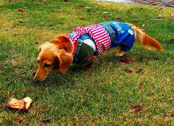 鉄　は　熱　い　う　ち　に　打　て　　　　(*ﾟ∀ﾟ)=3ﾑｯﾊｰ