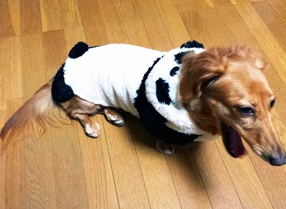 鉄　は　熱　い　う　ち　に　打　て　　　　(*ﾟ∀ﾟ)=3ﾑｯﾊｰ