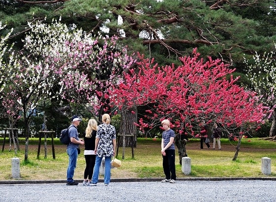 鉄　は　熱　い　う　ち　に　打　て　　　　(*ﾟ∀ﾟ)=3ﾑｯﾊｰ