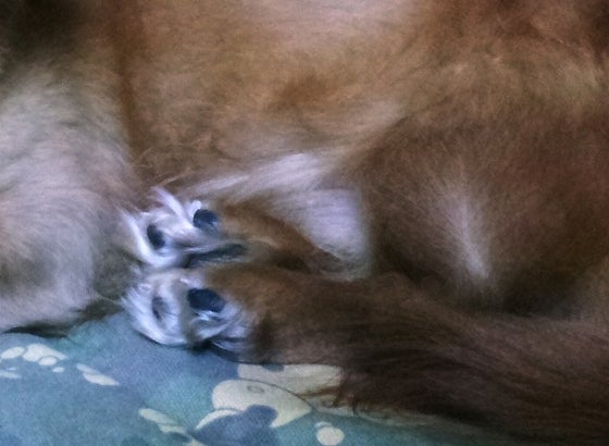 鉄　は　熱　い　う　ち　に　打　て　　　　(*ﾟ∀ﾟ)=3ﾑｯﾊｰ