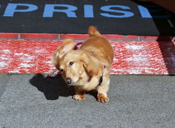 鉄　は　熱　い　う　ち　に　打　て　　　　(*ﾟ∀ﾟ)=3ﾑｯﾊｰ