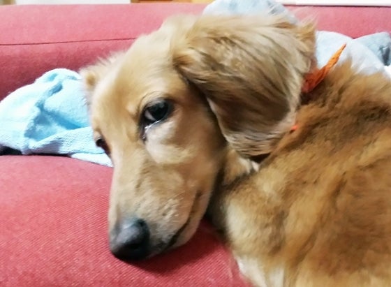 鉄　は　熱　い　う　ち　に　打　て　　　　(*ﾟ∀ﾟ)=3ﾑｯﾊｰ