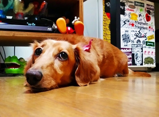 鉄　は　熱　い　う　ち　に　打　て　　　　(*ﾟ∀ﾟ)=3ﾑｯﾊｰ